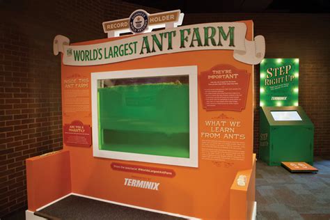 Insights Into Ant Trails - PCT - Pest Control Technology