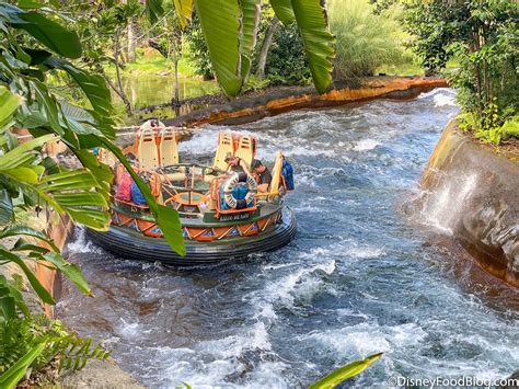 WHEN Kali River Rapids Could Reopen in Disney's Animal Kingdom | the ...