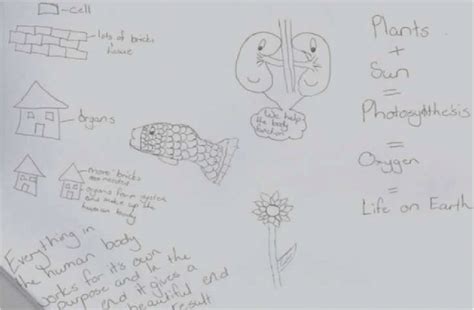 7: Diagram showing that what is most important in the Life Science... | Download Scientific Diagram