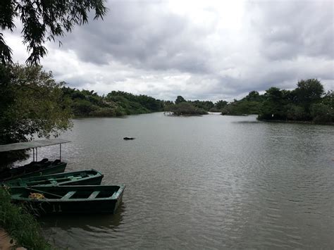 Best 4 things to do in Madiwala Lake Bengaluru - urtrips