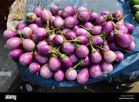 Brinjal color hi-res stock photography and images - Alamy