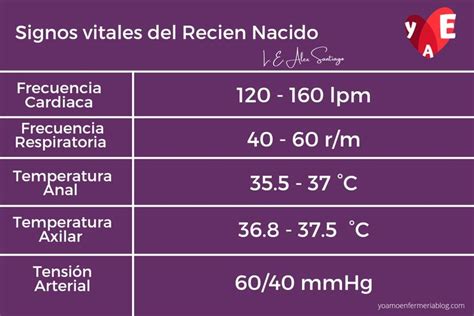 Cuidados inmediatos y mediatos del recién nacido | Cosas de enfermeria, Practicas de enfermeria ...