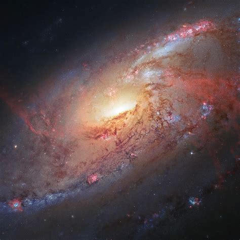 Jean-Baptiste Faure: Seyfert Spiral Galaxy M106