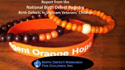 Agent Orange Zone: Report from the National Birth Defect Registry: Birth Defects in Vietnam ...