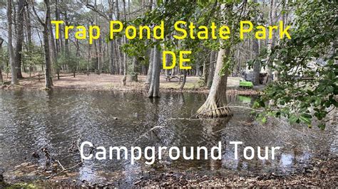 Trap Pond State Park DE Campground Tour - YouTube