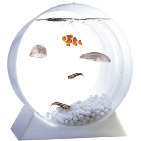 Jellyfish Tanks | Tech Buyers’ Guide 2012 | TIME.com