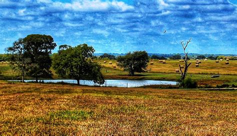 Texas countryside Photograph by Kelly Petty - Fine Art America