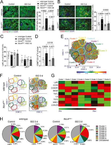 Multidimensional flow cytometry analysis of changes in macrophage ...