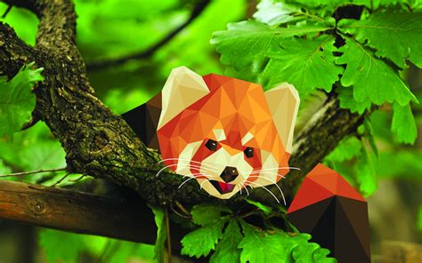 Low Poly Red Panda Wallpaper