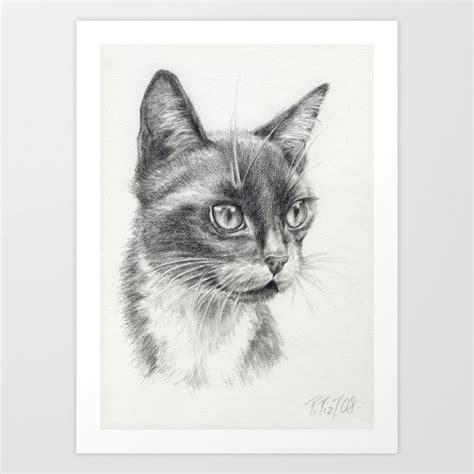 Black Cat portrait Black & White graphite pencil drawing Art Print by ...