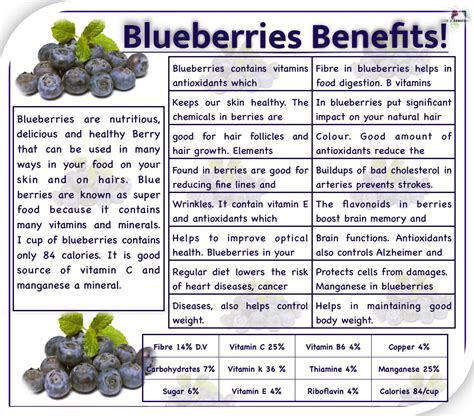 Nutrition Facts About Blueberries - Effective Health