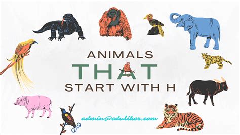 Animals That Start with H | Interesting Facts with Pictures