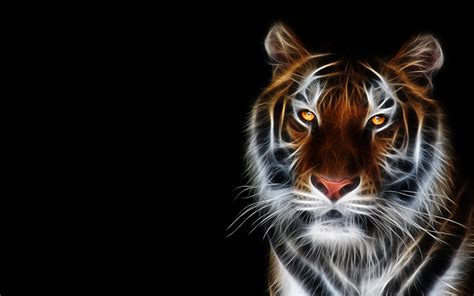 Fondos de Pantalla Tigris Grandes felinos Contacto visual Hocico 3D Gráficos Animalia descargar ...