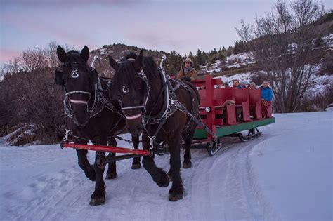 Bearcat Stables: Winter Sleigh Rides- Vail's best family activity outside the ski day