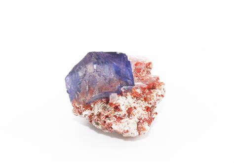 HALITE, SYLVITE on sylvinite | Pinnacle 5 Minerals