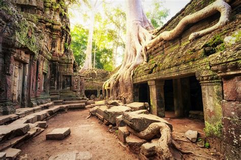 Angkor Wat Temple | HIstory and Why You Shoud Visit | - 7 Days Abroad