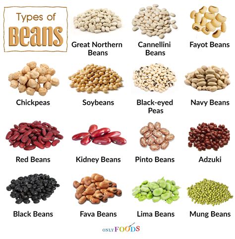 Other names for adzuki beans | Query