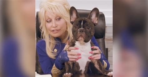 Dolly Parton Announces First-Ever Pet Gala, Featuring Drew Barrymore, Kristen Bell, Lainey ...