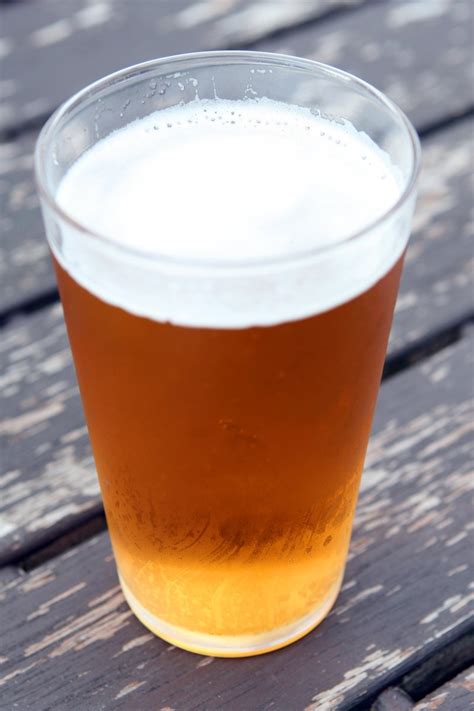 Pint of beer Free Photo Download | FreeImages