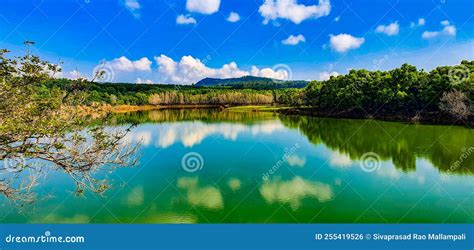 Pristine Lake in Sri Venkateswara National Park in Tirumula, Tirupati ...