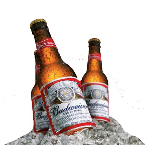 Budweiser Logo Transparent