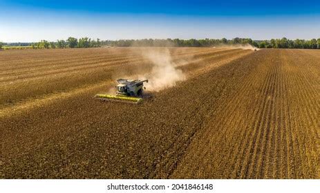 3,679 Sunflower Harvest Photos Stock Photos, Images & Photography ...