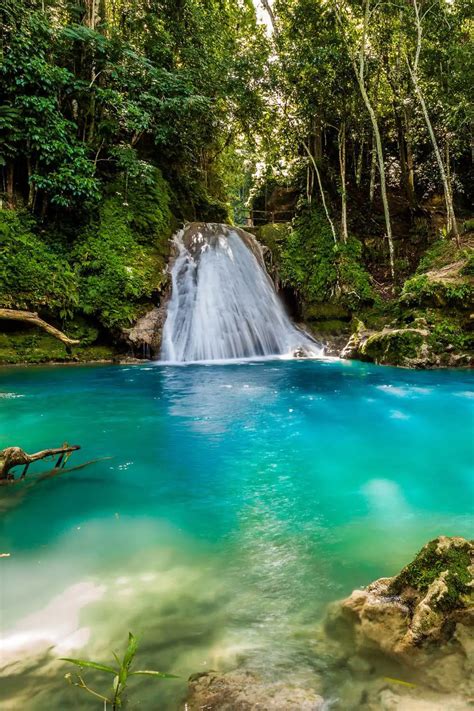 7 Montego Bay Attractions For Just About Any Traveler