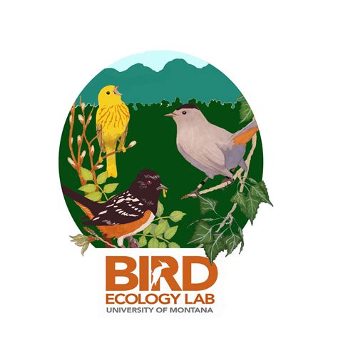 University of Montana Bird Ecology Lab | Missoula MT