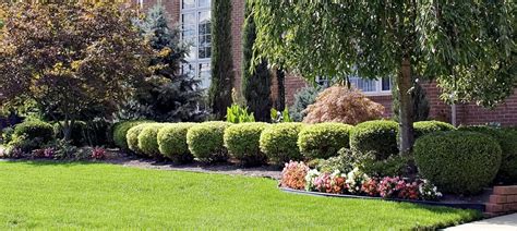 Shrub Trimming Service | McMurray Area | Luke's Lawn Care & Landscaping