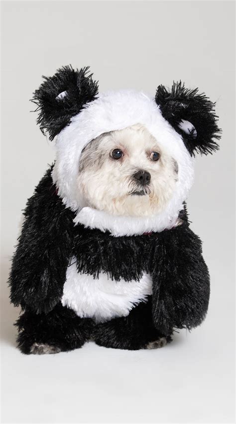 Dog Panda Costume | atelier-yuwa.ciao.jp