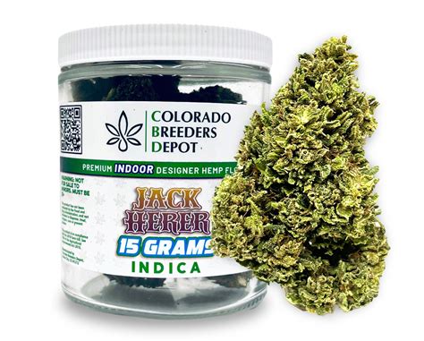 Jack Herer Strain for Wholesale | Colorado Breeders Depot