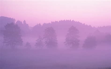 HD wallpaper: nature, mist, trees, purple sky, landscape | Wallpaper Flare