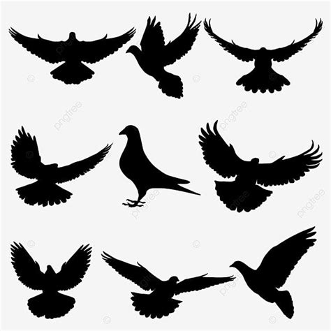 black silhouettes of birds flying in the sky, bird, illustration png ...