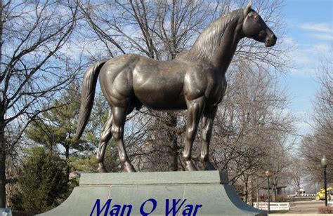 Man o' War to be honored throughout the year at Kentucky Horse Park - Horse Racing Nation