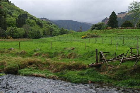 Free Foggy Irish Field Stock Photo - FreeImages.com