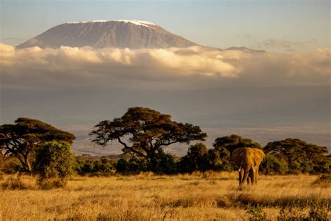 Hiking Mount Kilimanjaro? Read This Before You Start Planning.