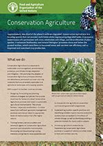 What we do? | Conservation Agriculture | Food and Agriculture ...