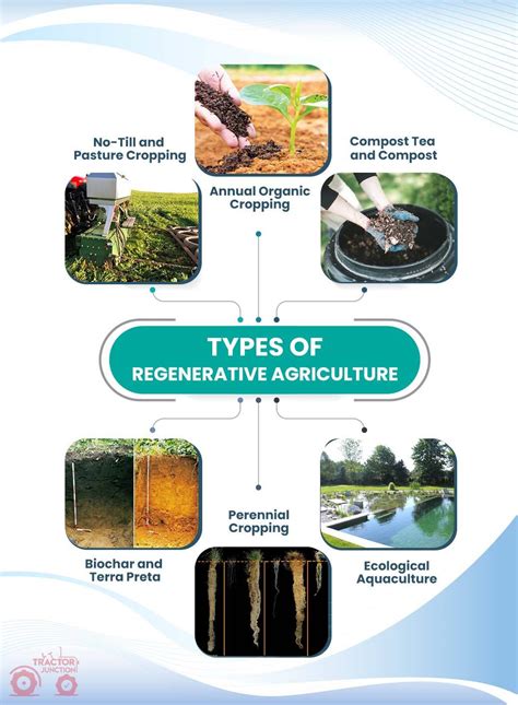 Regenerative Agriculture: A Step Towards Sustainable Farming