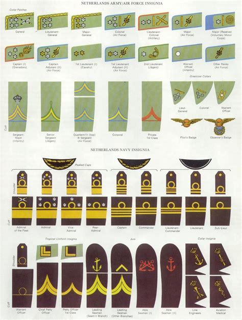 Dutch rank insignia | Navy ranks, Ww2, Navy insignia