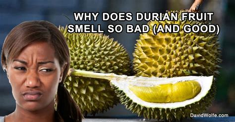 Durian Fruit - David Avocado Wolfe