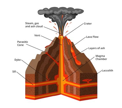 Vector infographic illustratie. dwarsdoorsnede van de vulkaan | Premium ...