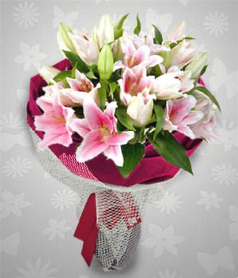 1 Dozen Stargazer Lilies