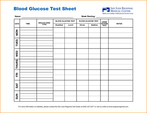 Printable Diabetic Log Booklet