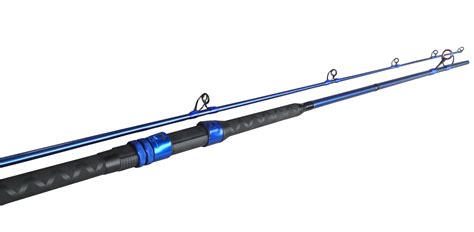 5 Best Surf Rods for the Money