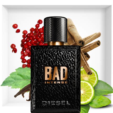 Diesel Bad Intense fragrance for men | Perfume and Beauty magazine