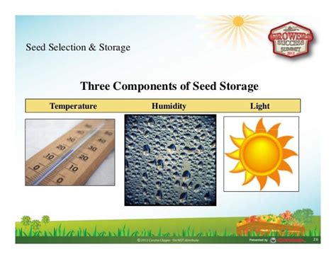 Seed Selection & Storage