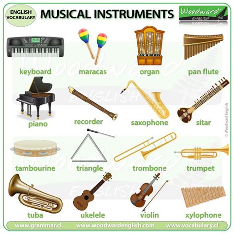 Discover the Names of Musical Instruments in English