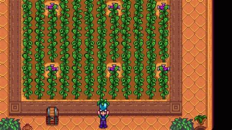 How to Get Ancient Fruit in Stardew Valley - Pro Game Guides