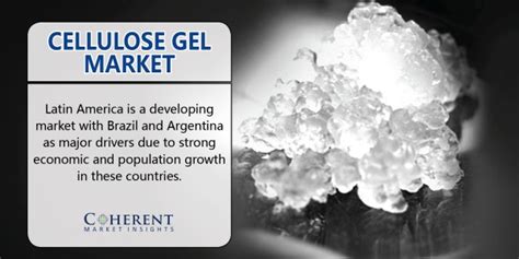 Cellulose Gel is the fastest growing market in till forecast period 2025 2017-09-23