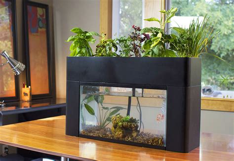 School Aquaponics | The Aquaponic Source